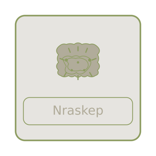 Nraskep Logo